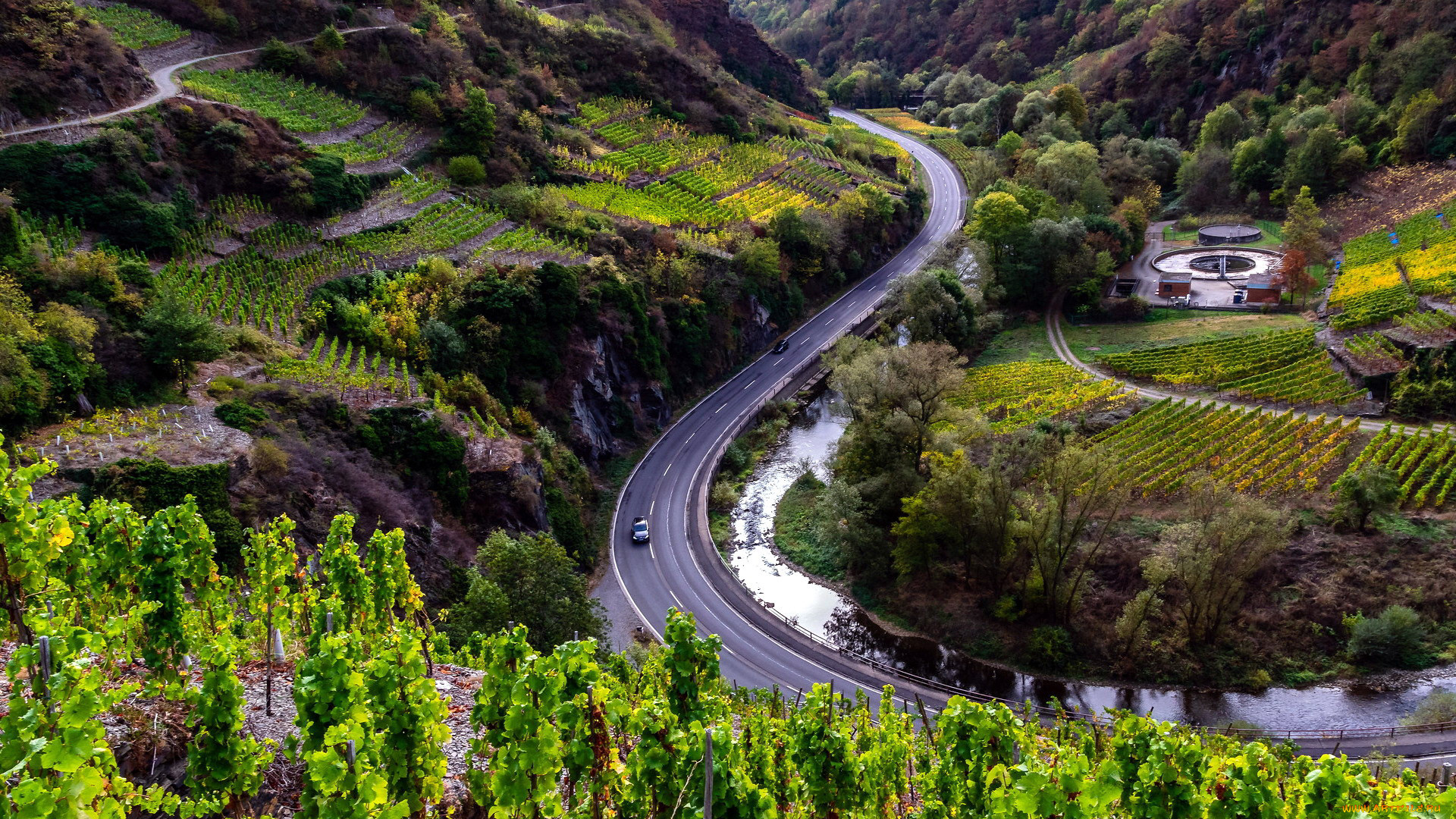 ahr valley, dernau, germany, , , ahr, valley